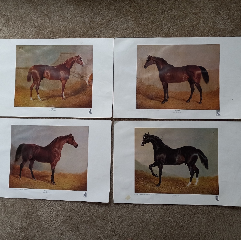 Stablemates Arts